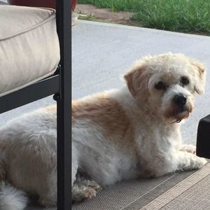 Meet your Posher, Joanne